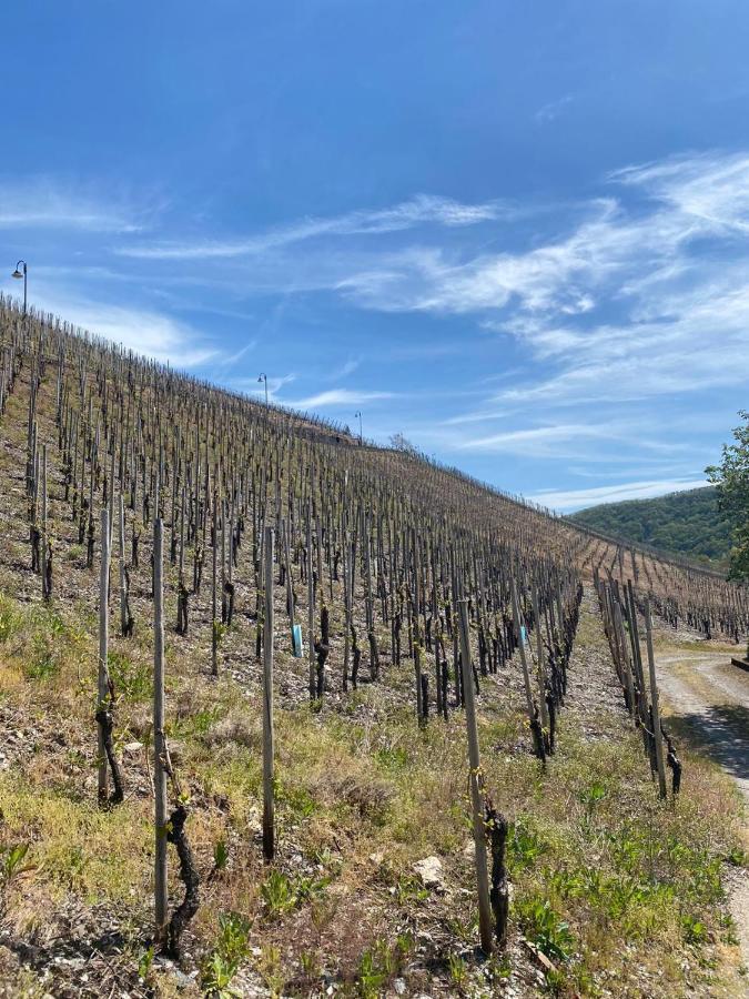 ホテルWein Und Gastehaus Marlene Pohl Kinheim エクステリア 写真