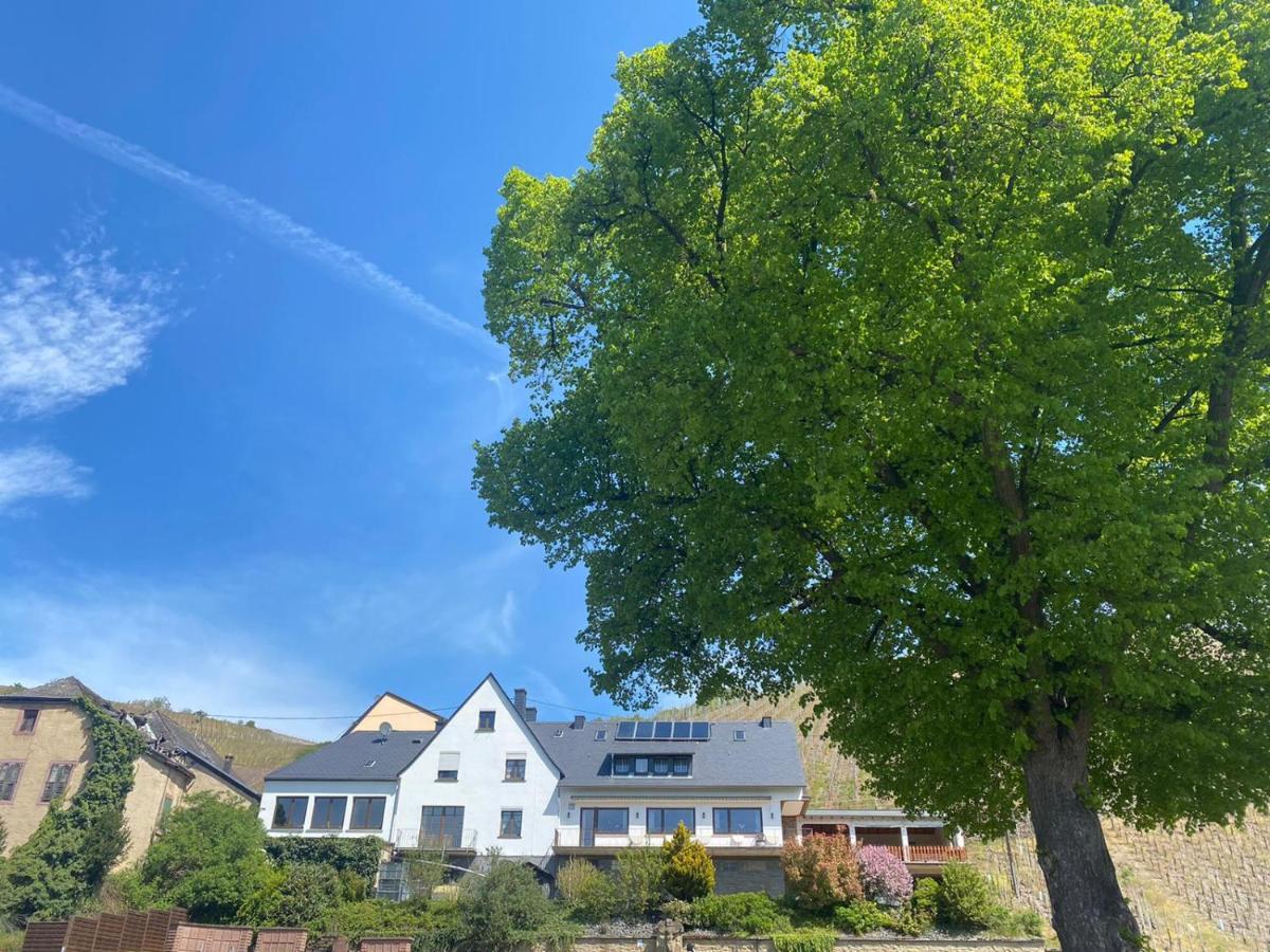 ホテルWein Und Gastehaus Marlene Pohl Kinheim エクステリア 写真